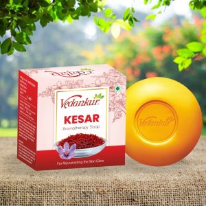 KESAR Premium Soap 100 GM